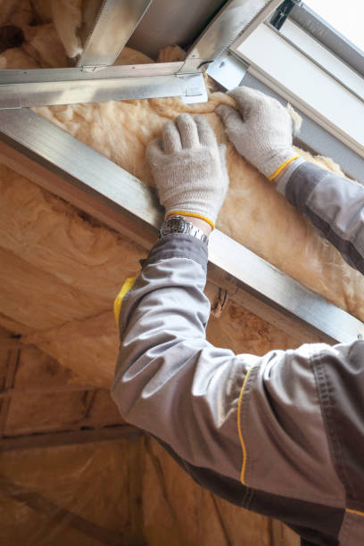 Best Insulation Materials and Products in Lusk, WY